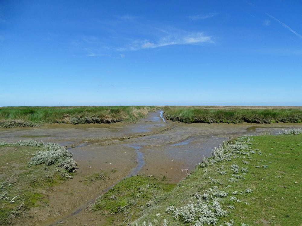 Kwelders Noordpolder